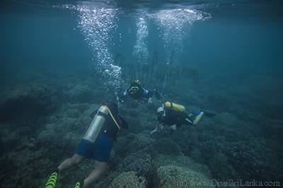 Divers at Irrachchal